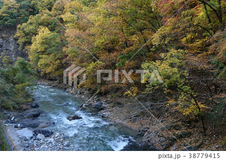 秋の芦川渓谷 38779415
