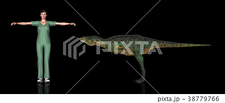 恐竜縮尺図・アウカサウルス 38779766