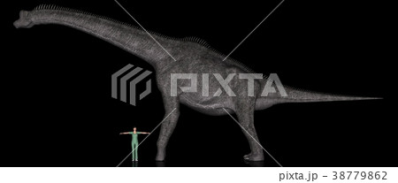 恐竜縮尺図・ブラキオサウルス 38779862
