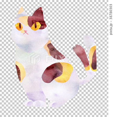 Cats / Three-haired cat 38780303