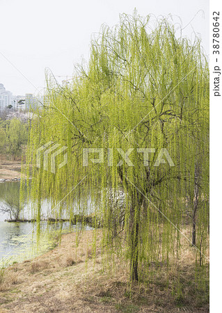 上手編み ソウル 城東区 38780642