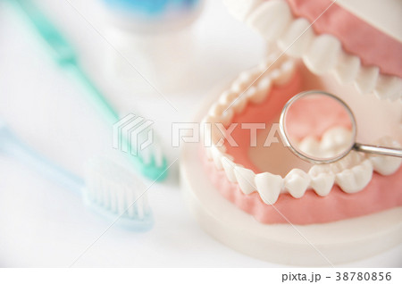 デンタルケア 虫歯予防 健診イメージ デンタルケア 虫歯予防 健診イメージ 38780856