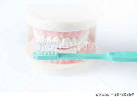 デンタルケア 虫歯予防 健診イメージ デンタルケア 虫歯予防 健診イメージ 38780864