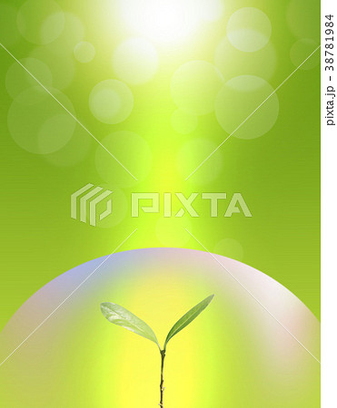 エコロジー背景 成長 エコ 自然環境 地球温暖化 若葉 エコロジー背景 成長 エコ 自然環境 地球温暖化 若葉 38781984