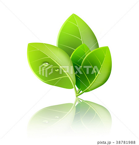 エコロジー背景 成長 エコ 自然環境 地球温暖化 若葉 エコロジー背景 成長 エコ 自然環境 地球温暖化 若葉 38781988