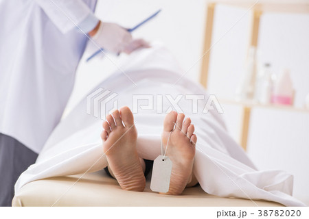Police coroner examining dead body corpse in Police coroner examining dead body corpse in 38782020