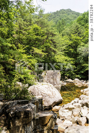 槐山郡 忠清北道 韓国 38782284