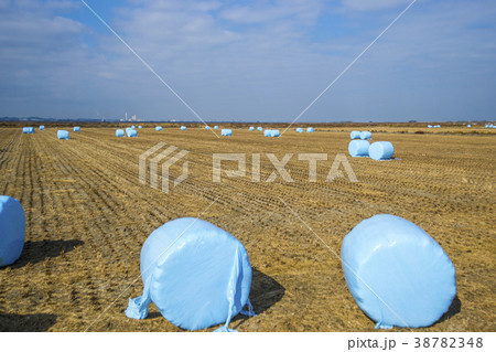 風景 忠南 景色 38782348