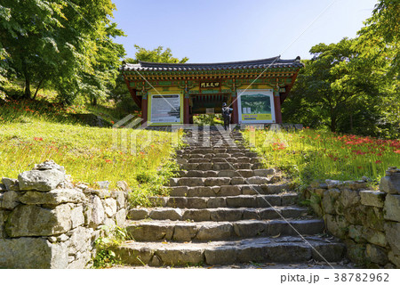 咸平郡 全羅南道 韓国 38782962