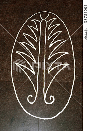 スペイン　バルセロナ　サグラダファミリア 38785005