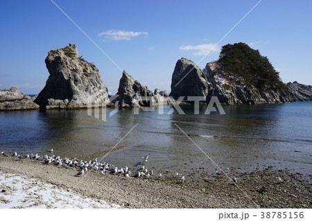 早春の浄土ヶ浜 早春の浄土ヶ浜 38785156