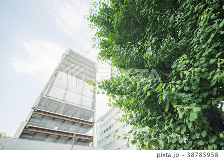建設中の超高層ビルと緑 建設中の超高層ビルと緑 38785958