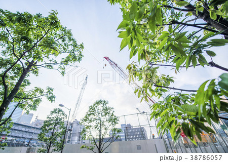 建設中の工事現場と街路樹の緑 38786057