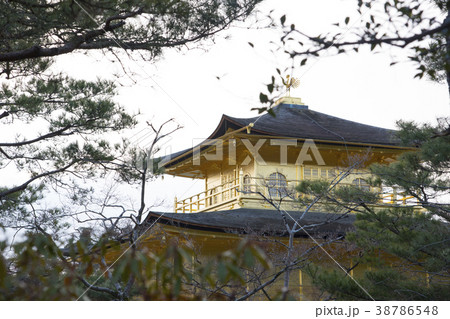 KYOTO, JAPAN - January 29 38786548