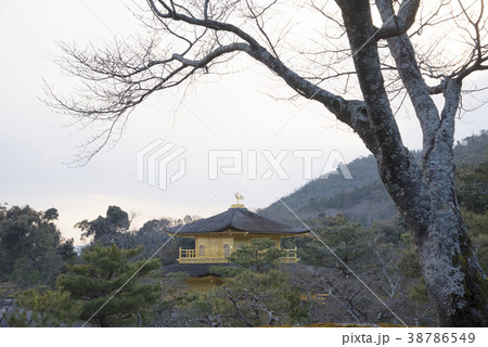KYOTO, JAPAN - January 29 38786549