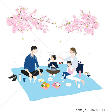 日本の春 桜の季節にお花見しながらお弁当食べてる家族のイラスト のイラスト素材