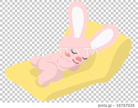 うたた寝するウサギ 38787026
