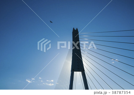 逆光線の北関東道路 逆光線の北関東道路 38787354