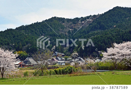 春の山郷 春の山郷 38787589