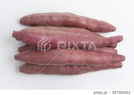 金時 白バック シンプル 使いやすい 38788892