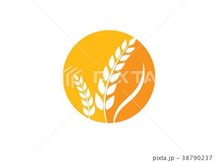 wheat Logo Template 38790237