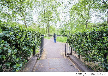緑豊かな公園の入り口 38790475