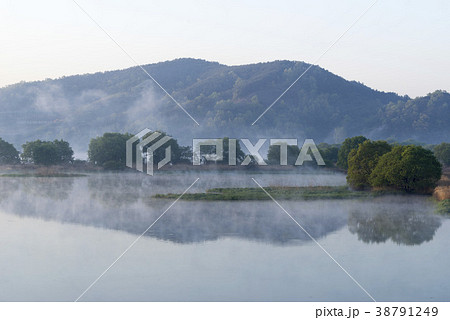 風景 湿地 霧 38791249