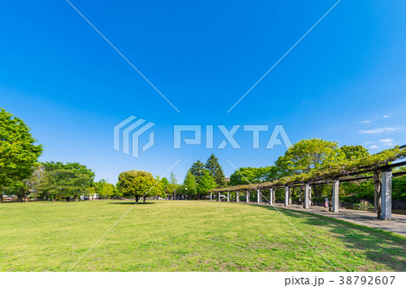 武蔵国分寺公園 38792607