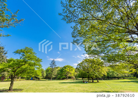 武蔵国分寺公園 38792610