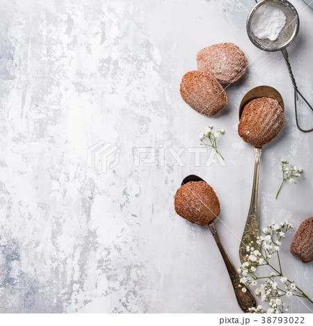Homemade chocolate cookies Madeleine 38793022