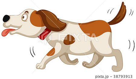 Cute dog running on white background 38793913
