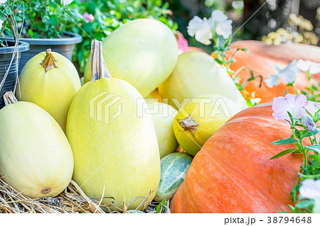 Bunch of pumpkins for sale 38794648