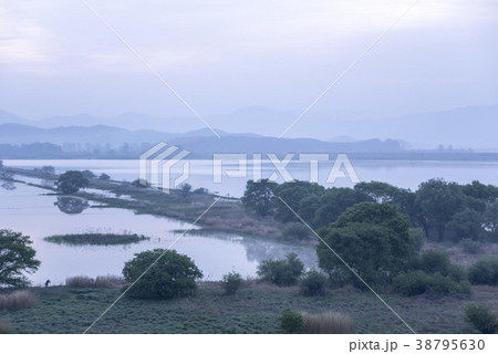 風景 湿地 牛浦 38795630