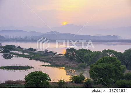 風景 湿地 牛浦 38795634