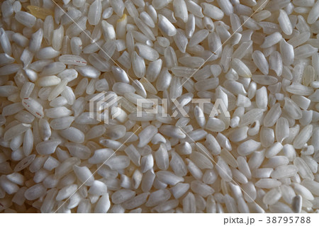 Rice texture, Asian uncooked short milled rice  38795788