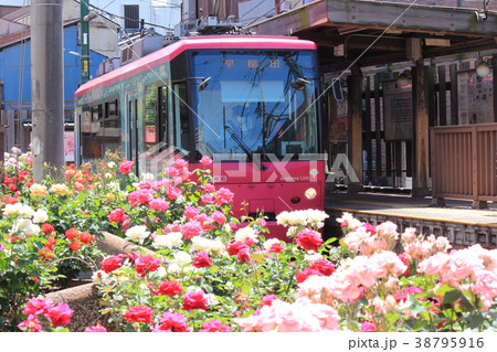 都電荒川線 38795916