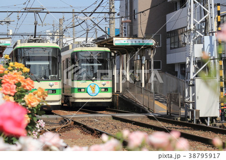 都電荒川線 都電荒川線 38795917