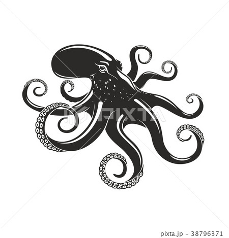 Octopus vector ocean seafood mollusc iconのイラスト素材 [38796371] - PIXTA