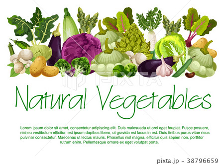Vector natural vegetables organic food poster Vector natural vegetables organic food poster 38796659