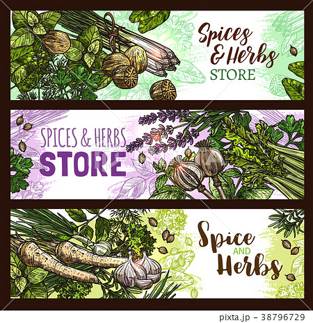 Spices and herbs farm store vector banners Spices and herbs farm store vector banners 38796729