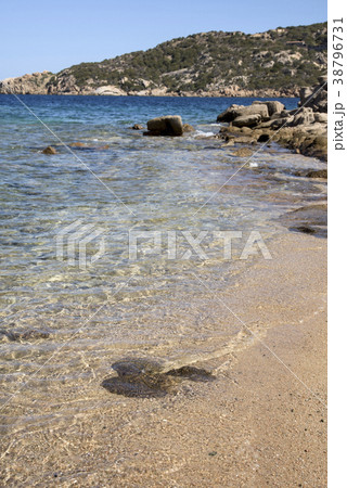 the coast of Baja Sardinia, in Sardinia, Italy the coast of Baja Sardinia, in Sardinia, Italy 38796731