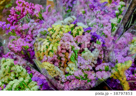 Statice flower texture on background 38797853