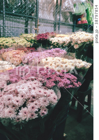 Flowers close up isolated on background. Flowers close up isolated on background. 38797854