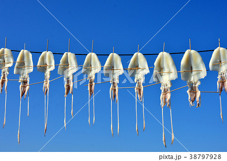 干されたスルメイカ 38797928