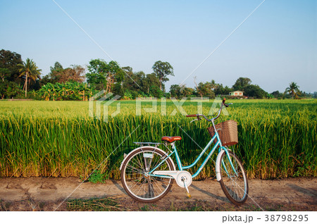 Green rice field and bicycle, Koh Tepo, Uthaithani 38798295