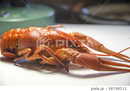 large red boiled river crayfish 38798511