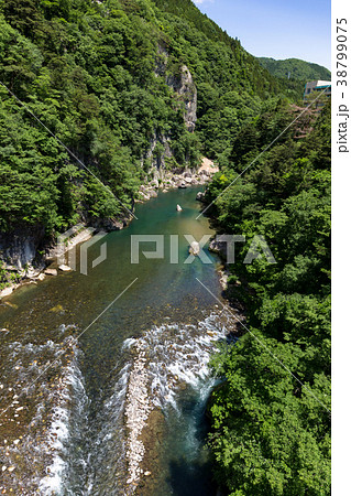 栃木県日光市 鬼怒川 楯岩(6月) 栃木県日光市 鬼怒川 楯岩(6月) 38799075
