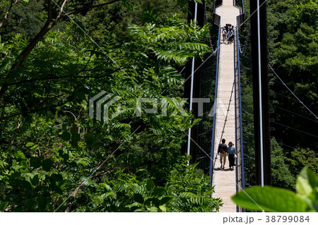 栃木県日光市　鬼怒楯岩大吊橋（6月） 38799084