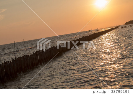 bamboo dam defend waves and slow down waves bamboo dam defend waves and slow down waves 38799192