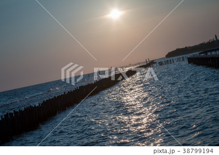 bamboo dam defend waves and slow down waves bamboo dam defend waves and slow down waves 38799194
